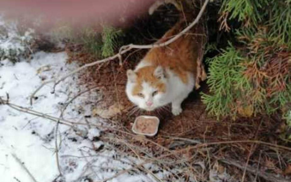 
        Zbiórka Umyć okna, wywalić kota i święta - zdjęcie główne
    
