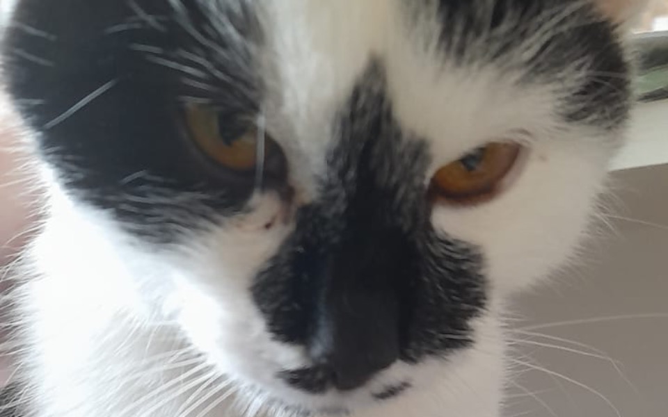 
        Zbiórka Kruszynka potrzebuje pomocy - zdjęcie główne
    