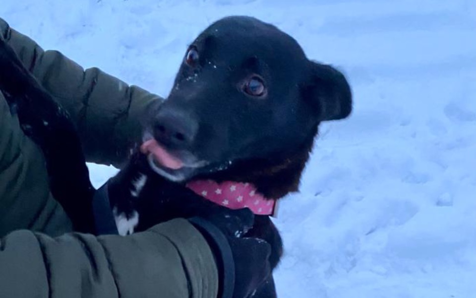 
        Zbiórka Sonia cierpiała latami... - zdjęcie główne
    