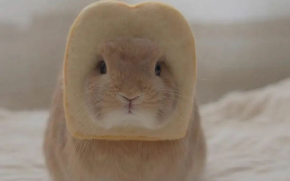 
        Zbiórka Zadłużenie, brak środków do życi - zdjęcie główne
    