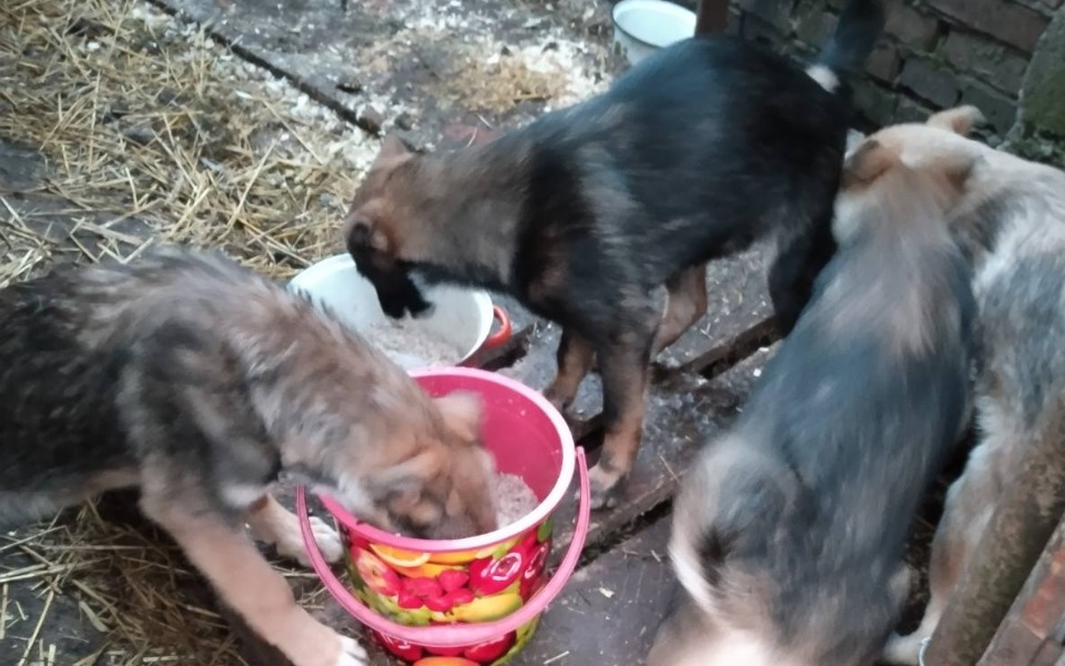 
        Zbiórka Transport do nowego życia - zdjęcie główne
    