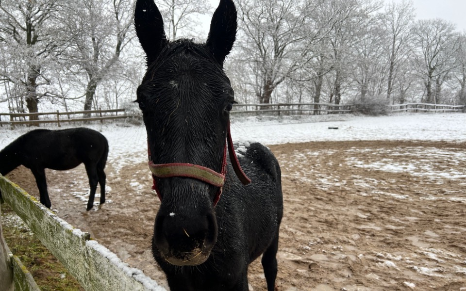 
        Zbiórka Na marzenie STARTU w zawodach - zdjęcie główne
    