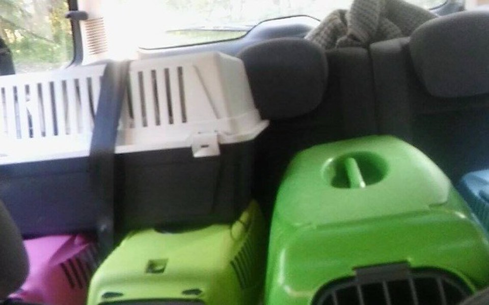 
        Zbiórka Zepsuty kotowóz - pomocy! - zdjęcie główne
    