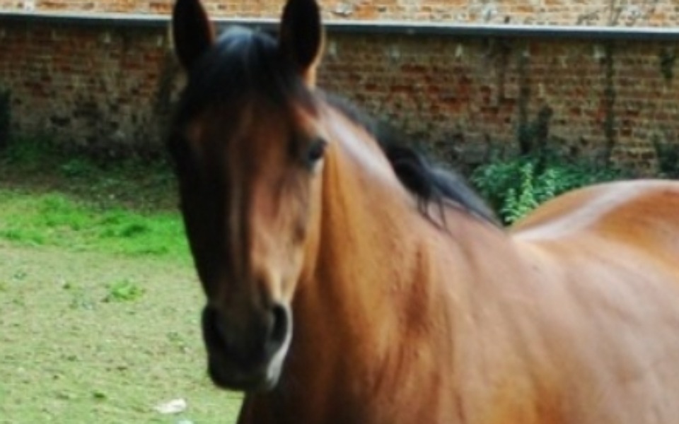 
        Zbiórka Moje najwiękrze marzenie - zdjęcie główne
    