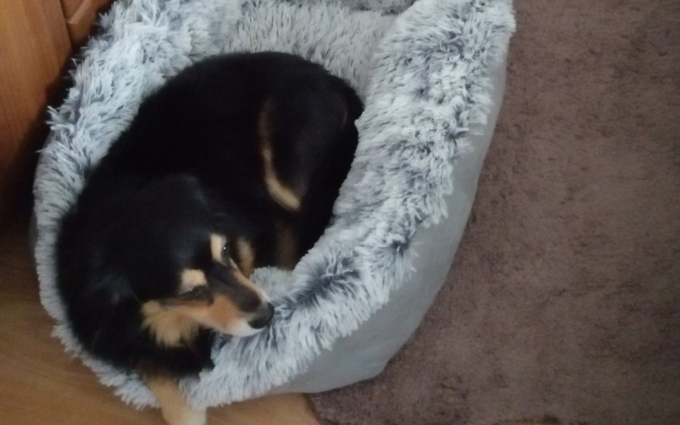 
        Zbiórka Potrzebuję pomocy. please. - zdjęcie główne
    