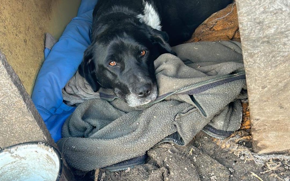 
        Zbiórka Pomoc dla Natki - zdjęcie główne
    