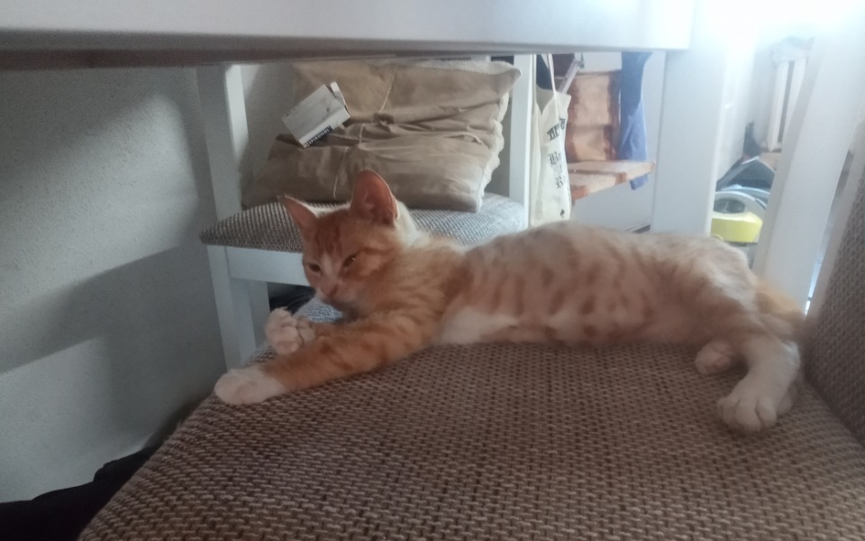 
        Zbiórka Na przeżycie i opłaty mieszkania - zdjęcie główne
    