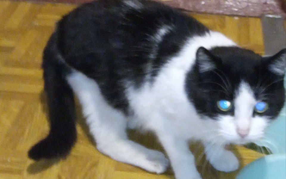 
        Zbiórka Koniec rozmnażania - zdjęcie główne
    