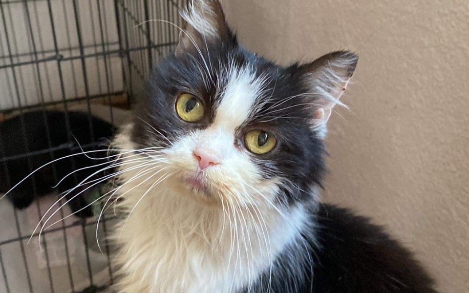 
        Zbiórka Ratujmy Babcie Rozi - zdjęcie główne
    