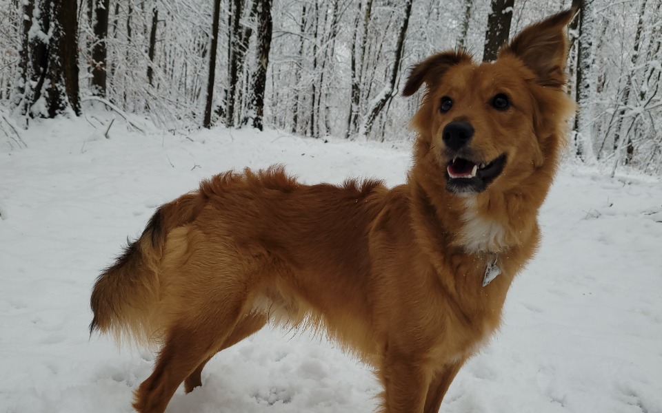 
        Zbiórka Operacja Korka - zdjęcie główne
    