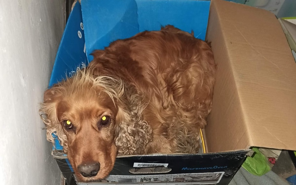 
        Zbiórka Znowu walczy z guzem - zdjęcie główne
    