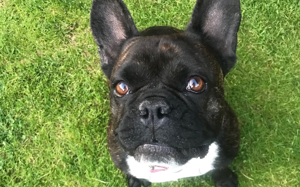 
        Zbiórka Pilna operacja Mojej Loli - zdjęcie główne
    