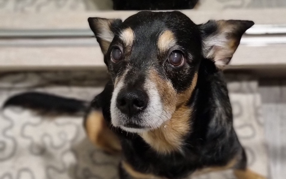 
        Zbiórka PADACZKA. Konieczna diagnostyka - zdjęcie główne
    