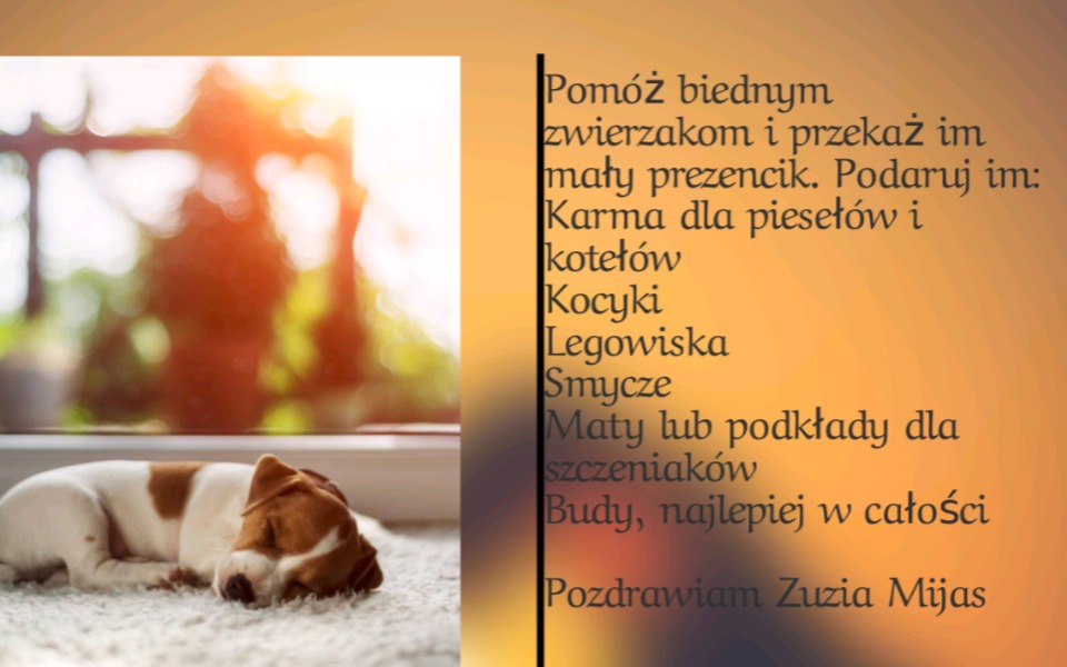 
        Zbiórka Zbiorka dla schroniska w Milejów - zdjęcie główne
    