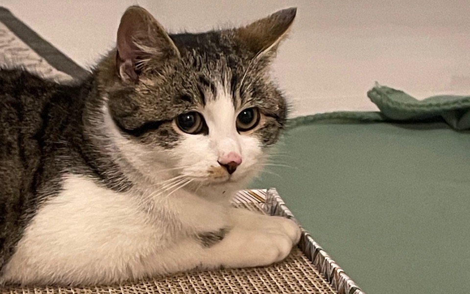 
        Zbiórka Spłacenie długów POTRZEBNA POMOC - zdjęcie główne
    