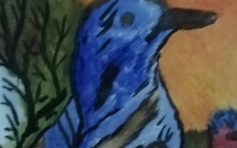 
        Zbiórka Wsparcie dla Malgosi - zdjęcie główne
    