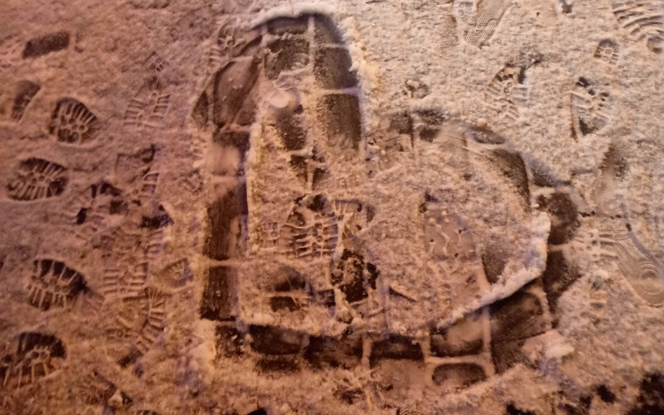 
        Zbiórka Walentynki. - zdjęcie główne
    