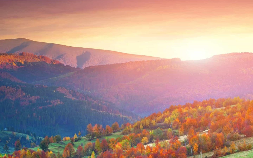 
        Zbiórka Pomocy-mam tylko 25dni - zdjęcie główne
    