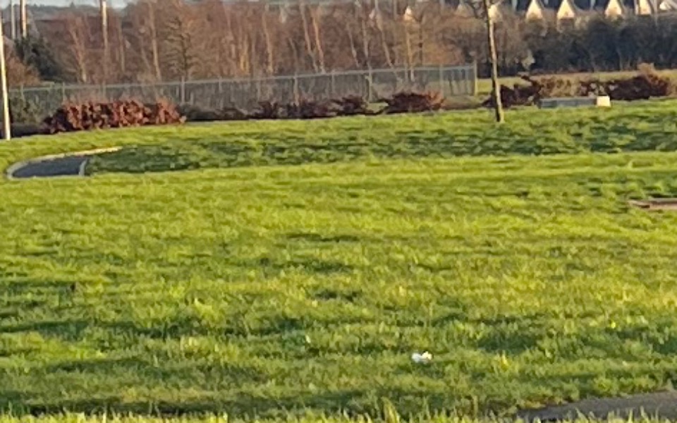 
        Zbiórka Pomoc rozbitej rodzinie - zdjęcie główne
    