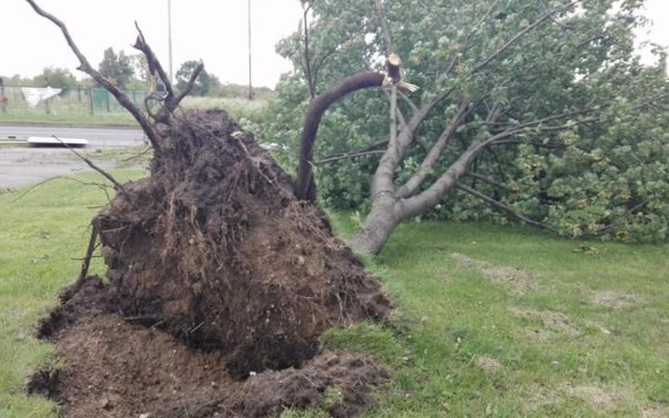 
        Zbiórka Pomoc dla rodziny ♡ - zdjęcie główne
    