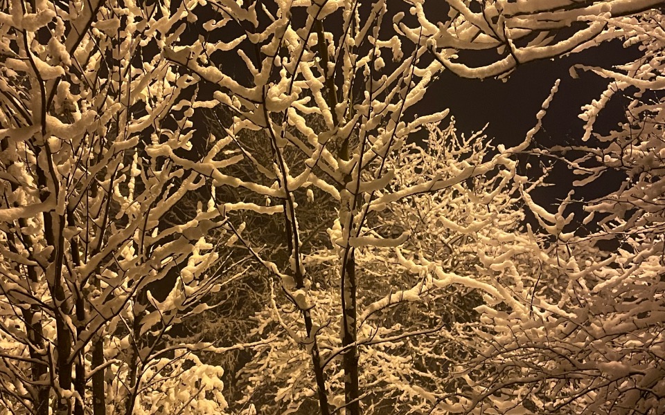 
        Zbiórka Wycieczka edukacyjna / - zdjęcie główne
    