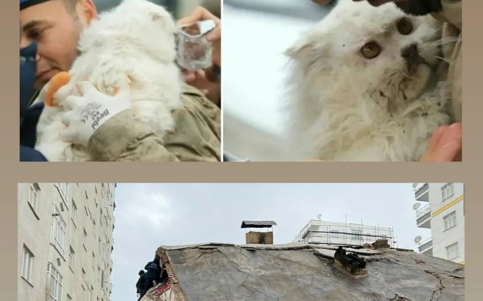 
        Zbiórka Pomoc po trzęsieniu ziemi w Turc - zdjęcie główne
    