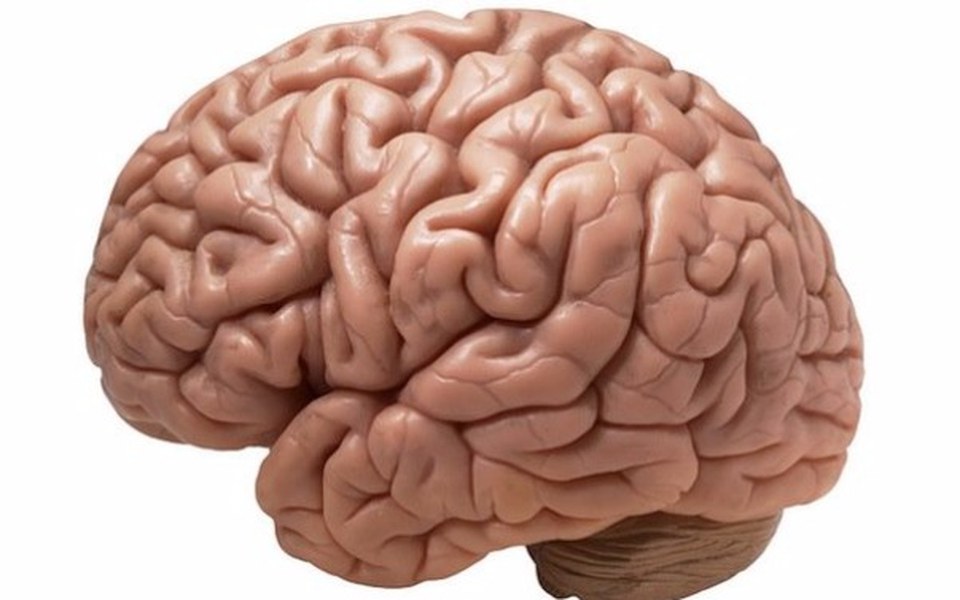 
        Zbiórka Zbiórka na Mózg Dla LynXa - zdjęcie główne
    