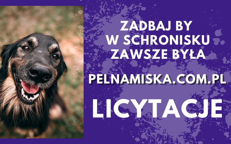 
        Uśmiechnięty pies na tle fioletowego tła z informacją o licytacjach.
    