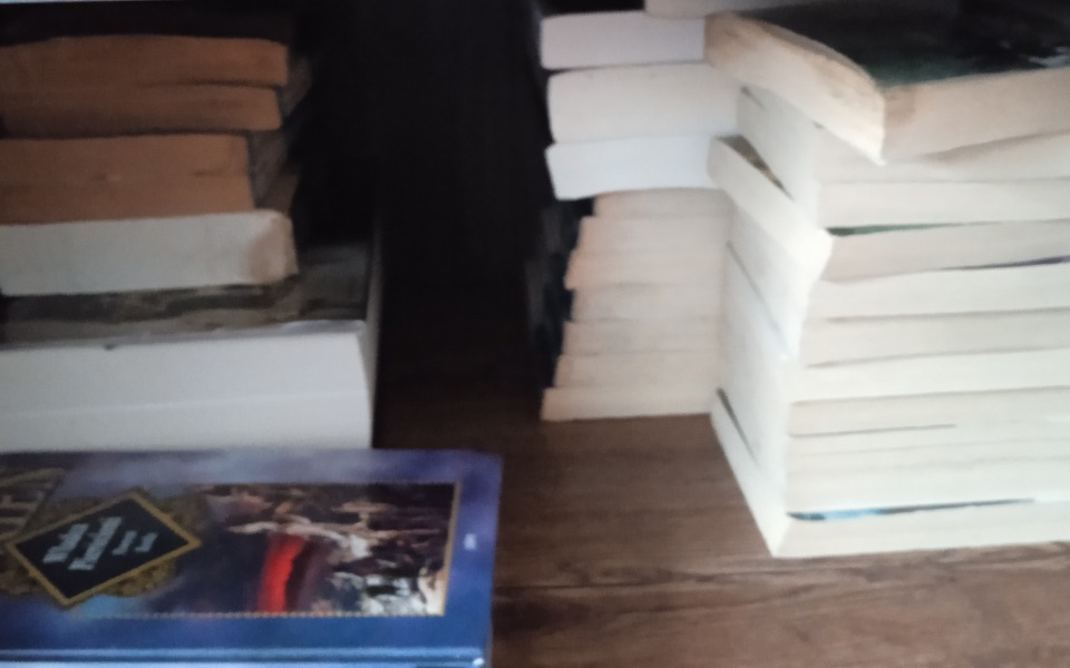 
        Zbiórka Biblioteczka domowa - zdjęcie główne
    