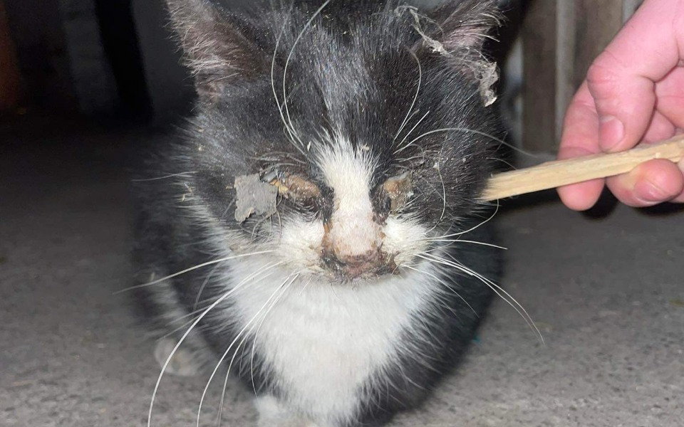 
        Zbiórka Chcieli mu pomóc szpadlem - - zdjęcie główne
    