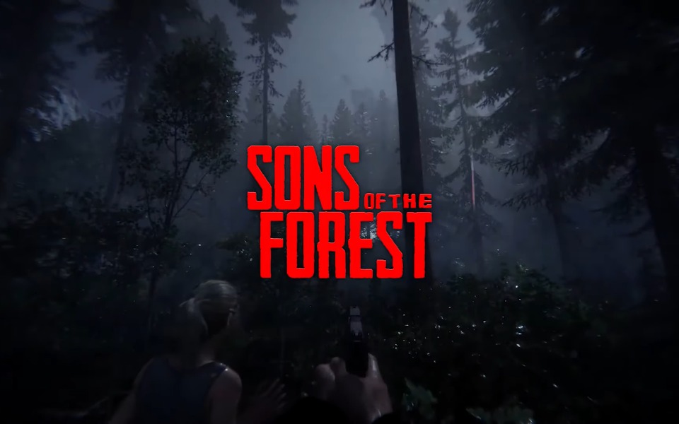 
        Zbiórka song of the forest - zdjęcie główne
    