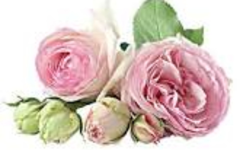 
        Zbiórka Na prezent dla mamy 123 - zdjęcie główne
    