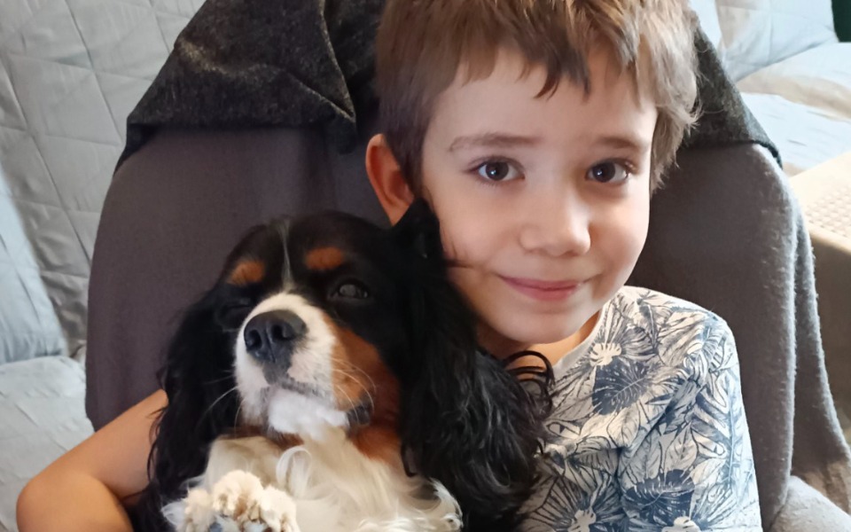 
        Zbiórka operacja oczu Morisa - zdjęcie główne
    