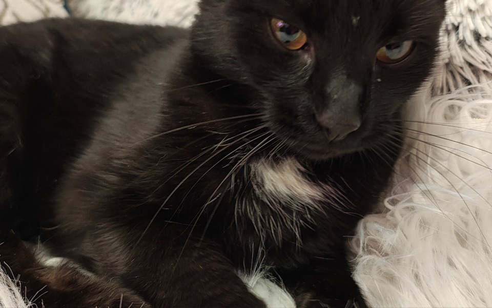 
        Zbiórka Głuchołazy - odbudowa - zdjęcie główne
    