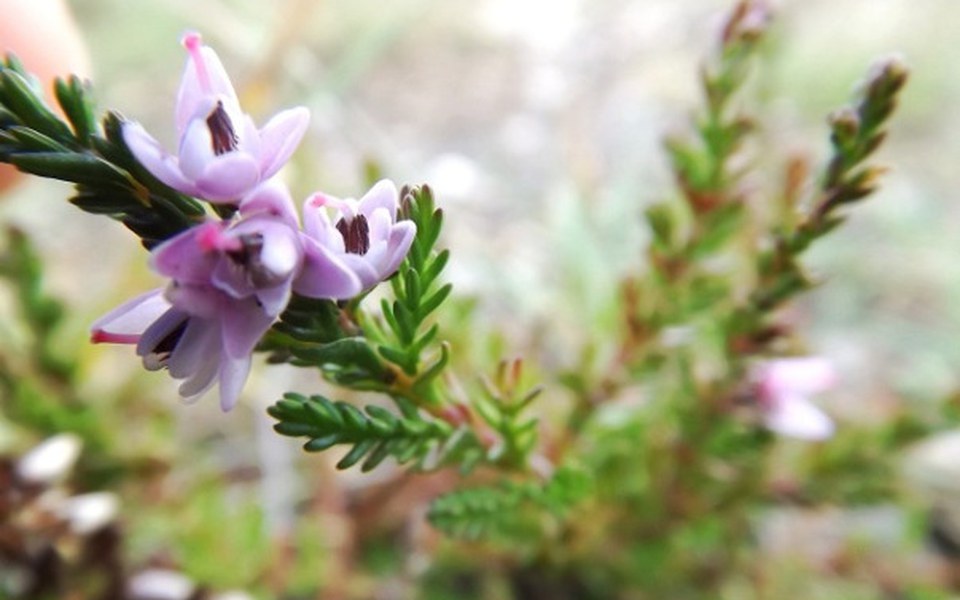 
        Zbiórka Zbieram na sprzęt fotograficzny - zdjęcie główne
    