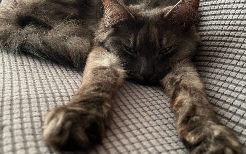 
        Zbiórka Detox dla Detoxa - Axioma - zdjęcie główne
    