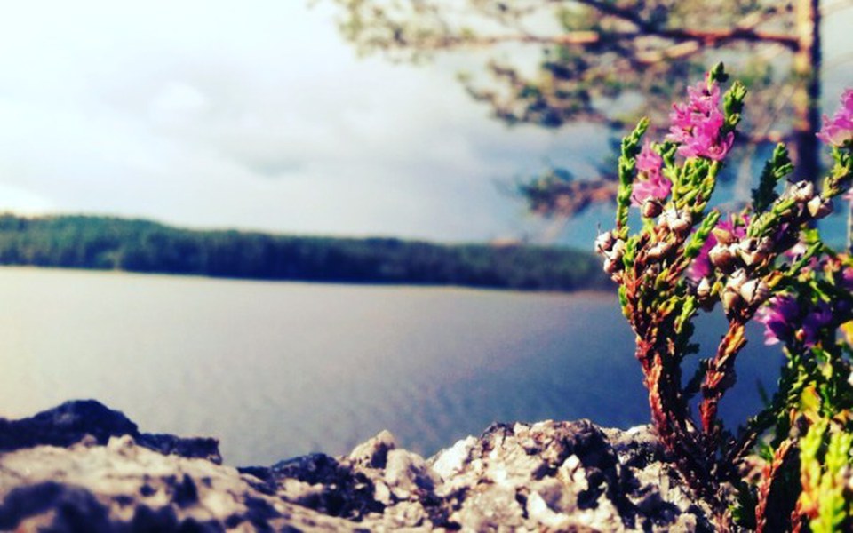 
        Zbiórka "Aparat Fotograficzny" - zdjęcie główne
    