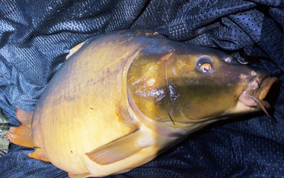 
        Zbiórka Walka o Pasje VS Składki PZW - zdjęcie główne
    