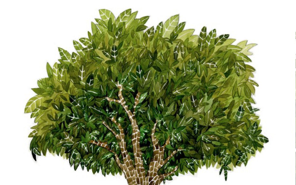 
        Zbiórka zakladanie - zdjęcie główne
    