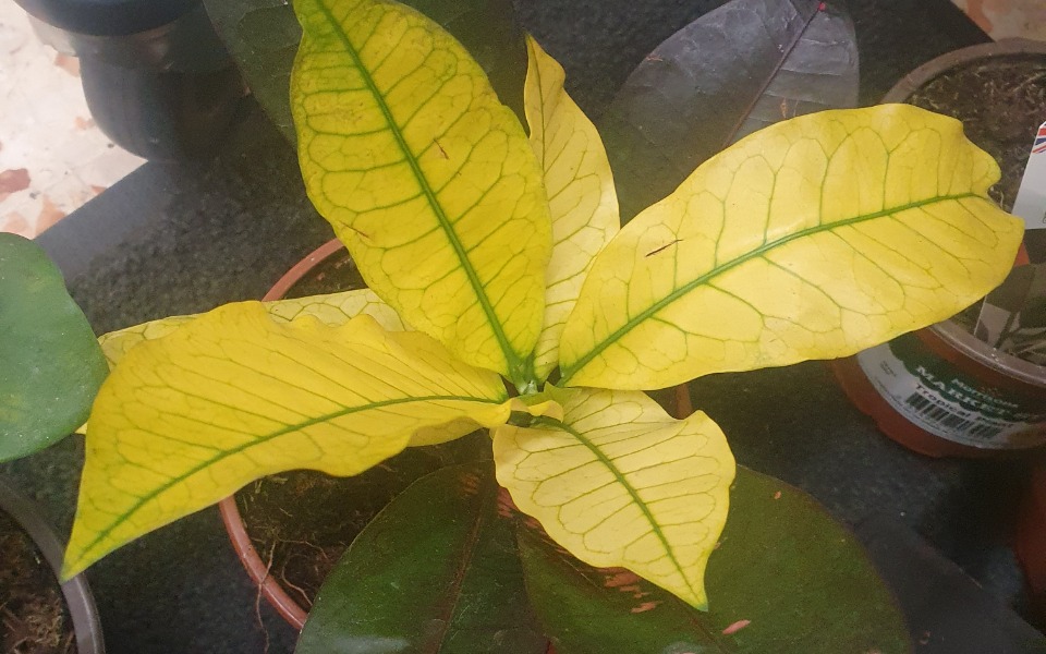 
        Zbiórka Na maszarze - zdjęcie główne
    