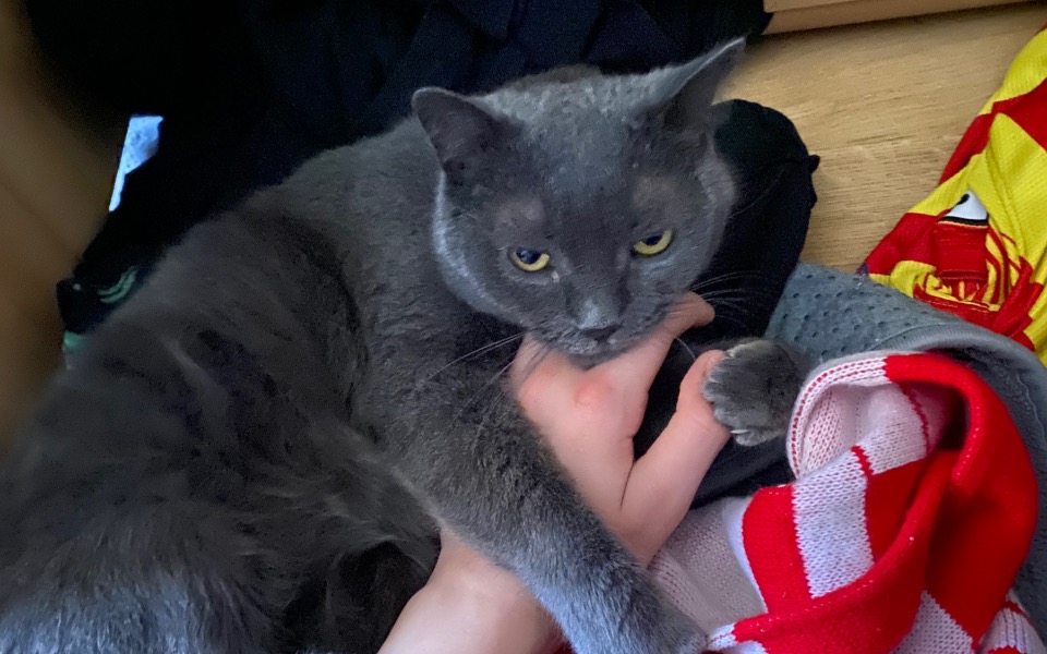 
        Zbiórka Na marzenia nintendo switch - zdjęcie główne
    