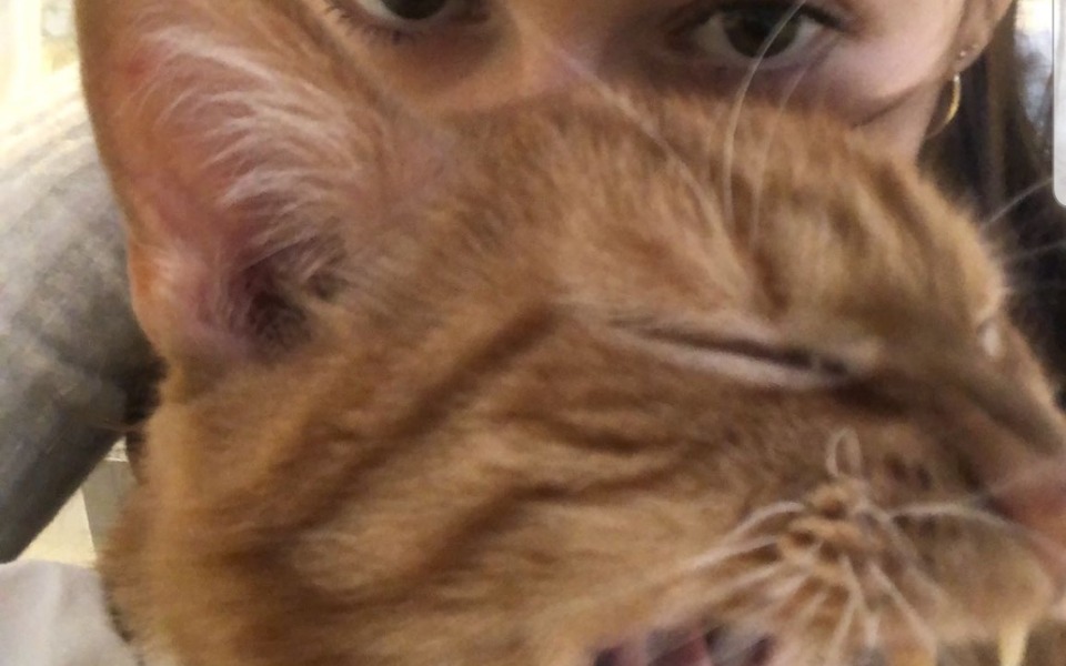 
        Zbiórka Brakuje na pogrzeb taty - zdjęcie główne
    