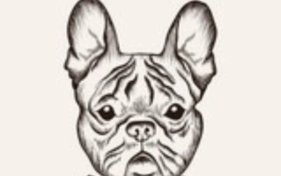 
        Zbiórka Na buldoga - zdjęcie główne
    