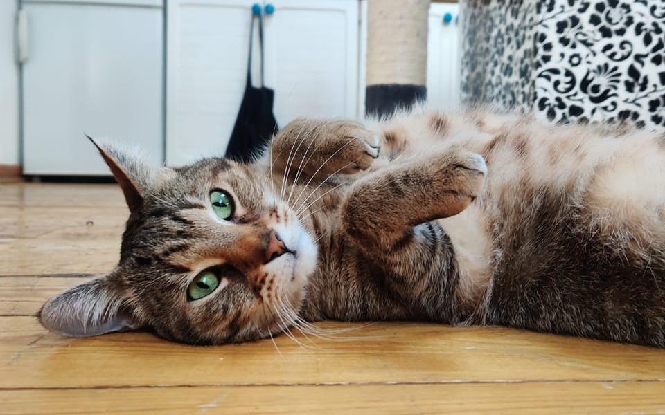 Zbiórka Ja też zasługuję na szansę - zdjęcie główne