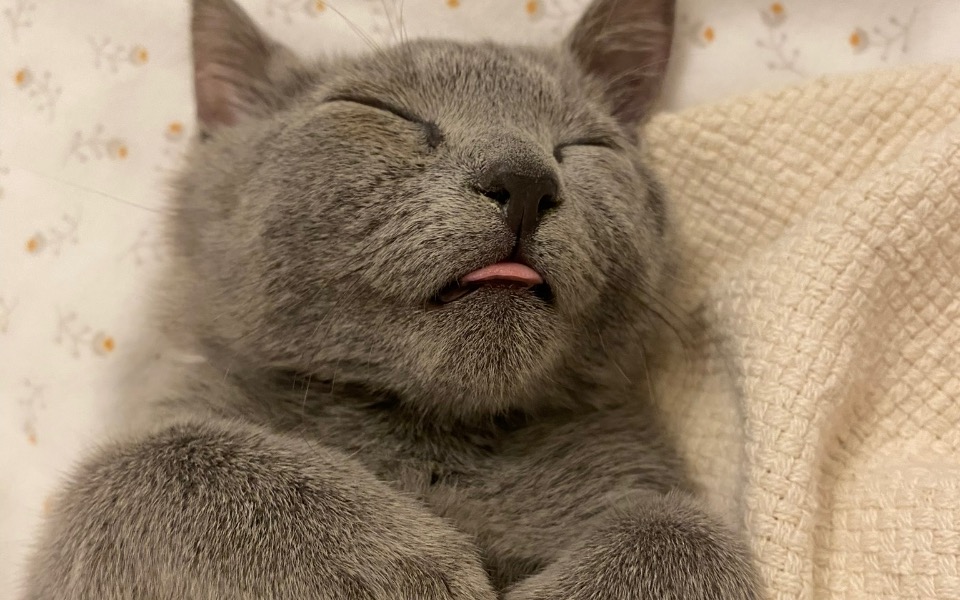 
        Zbiórka mały Peru - ogromny problem - zdjęcie główne
    