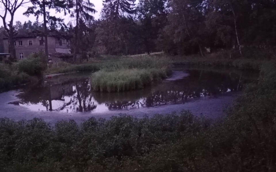 
        Zbiórka Ratujemy naturalny staw - zdjęcie główne
    