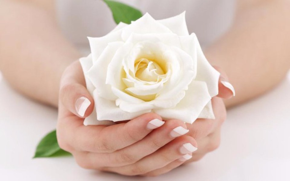 Zbiórka Sztandar Białej Róży - zdjęcie główne