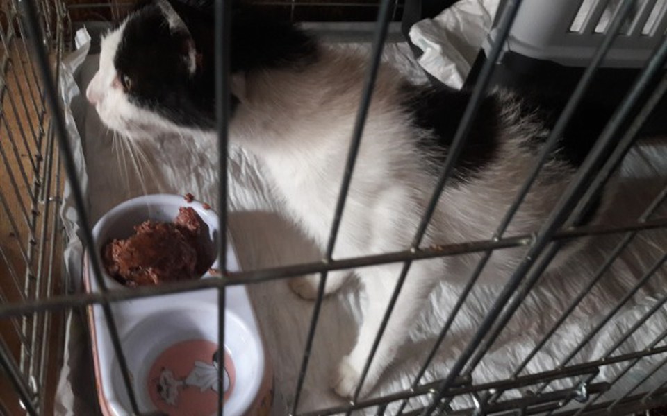 Zbiórka Wywalona jak śmieć - zdjęcie główne