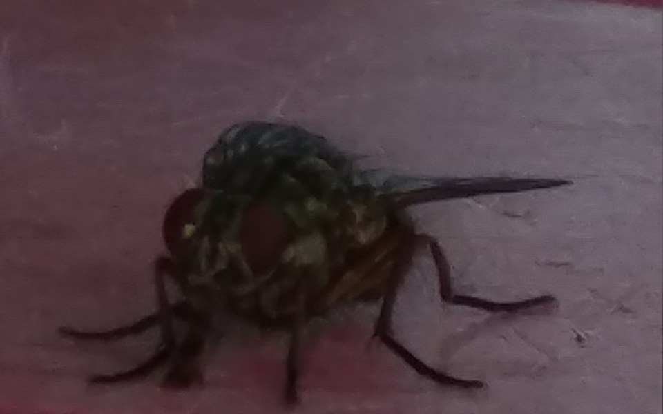 
        Zbiórka Na spłatę kredytów. - zdjęcie główne
    