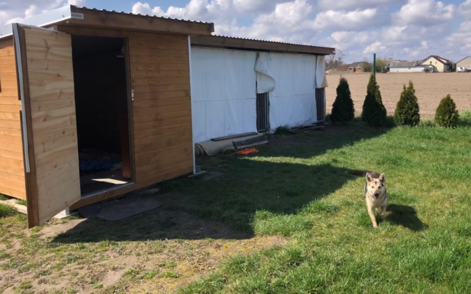 
        Zbiórka Wybieg_dla_psów - zdjęcie główne
    